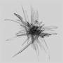 Ricardo Donoso - Quintesence