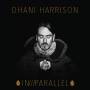 Dhani Harrison - IN///PARALLEL (LP)