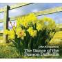 John Kirkpatrick - The Dance Of The Demon Daffodils