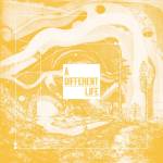 Catt - A Different Life (Gatefold)