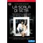 Scimone / Zanfardino / Peretyatko - La Scala di Seta (Seidene Leiter) [Regio free (0)]