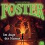 Oliver Doering - Foster 15-Im Auge des Sturms