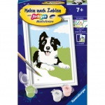 Ravensburger - Ravensburger 23759 livre et page  colorier