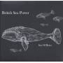 British Sea Power - Sea of Brass
