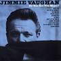 Jimmie Vaughan - Do You Get The Blues