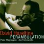 David Hazeltine / + - Perambulation