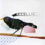 Uccellacci - Uccellacci