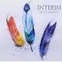 Interim - Metanarratives Ep
