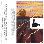 Trio Arnold - Quatuor pour piano et Cordes