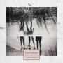 Case Van Duzer - Gift Horsie (+cd)