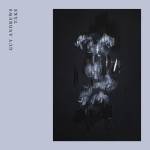 Guy Andrews - Take (Ltd.LP)