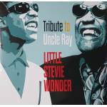 Stevie Wonder - Tribute To Uncle Ray