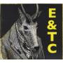 Erland And The Carnival - Erland And The Carnival