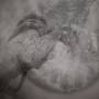 Torpor / Sonance - Split