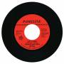 Stanley Mitchell / Tony Hestor - Get It Baby/down In The Dumps