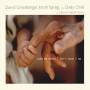 David Greenberger / Keith Spring / Dinty Child - Take Me Where I Don't Know I Am