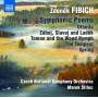 Marek Stilec / Czech National SO - Orchesterwerke Vol.3