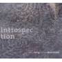 Gerald Selig & Andreas Mayerhofer - Introspection