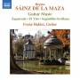 Franz Halsz - Gitarrenmusik