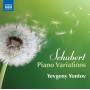 Yevgeny Yontov - Variationen