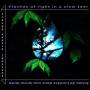 Janssens - Flashes of Light in a Slow Tear