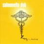 Salmonella Dub - Heal Me