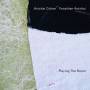 Avishai Cohen / Yonathan Avishai - Playing The Room
