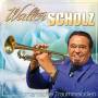 Walter Scholz - Romantische Traummelodien