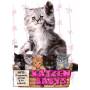 Dokumentation - Katzenbabys [DE-Version, Regio 2/B]