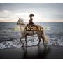 Misia - New Morning