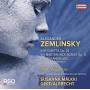 A. Von Zemlinsky - Sinfonietta,Op. 23