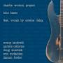 Charlie Wooton Project - Blue Basso