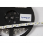 Synergy 21 Led - Flex Strip warmwei DC12V 24W IP20