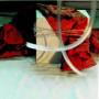 Nikki Sudden - Red Brocade (remastered & Expanded)