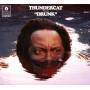 Thundercat - Drunk