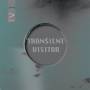 Transient Visitor - TV1 (Colour LP)