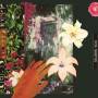 Dos Santos - City of Mirrors