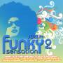 Various - Funky Sensation Vol.2