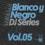BLANCO Y NEGRO DJ 2013 / 5 - Blanco Y Negro DJ Series 2013 Vol.5