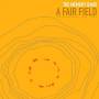 The Memory Band - Landscape Music Volume Five (A Fair Field...