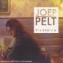 Joep Pelt - It Is What It Is