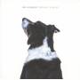 RM Hubbert - Breaks & Bone