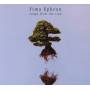 Fima Ephron - Songs From The Tree