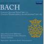 Arcis-Vocalisten / L'Arpa Festante / Gropper - Kantaten BWV 131 & BWV 182