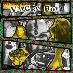 Viagra Boys - Consistency of Energy / Call of the Wild