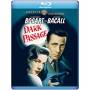Dark Passage / (mod B & w Full Dts Ntsc) - Dark Passage [US-Version, Regio 1/A]