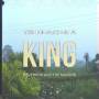 Reverend & The Makers - Death of a King