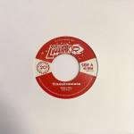 Transilvanians - Nature Boy / Night And Day (Lim.Ed.)