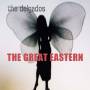 The Delgados - The Great Eastern