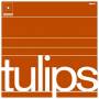 Maston - Tulips (2020 Reissue)
